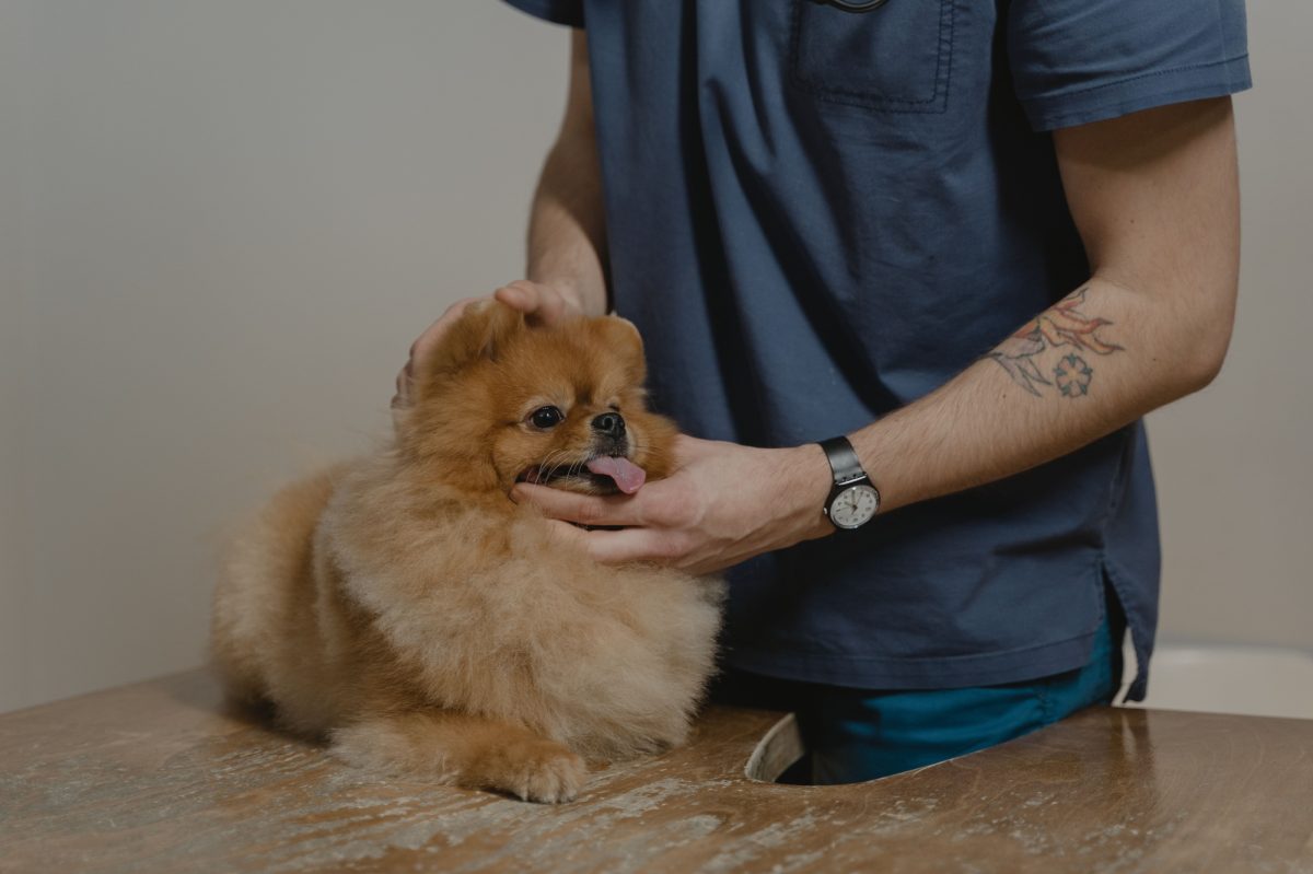 Karaköprü Pet Dahiliye